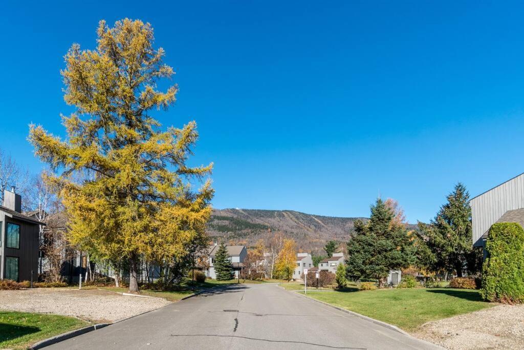 Initial - Sommet - Mont-Sainte-Anne Villa Beaupre Exterior photo
