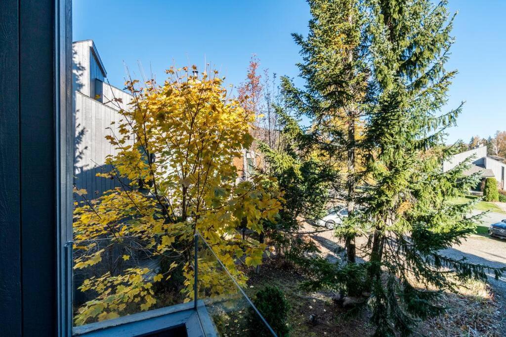 Initial - Sommet - Mont-Sainte-Anne Villa Beaupre Exterior photo